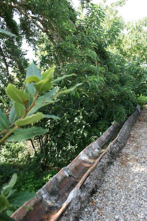 Villa Dei Leoni Santa Tecla Eksteriør bilde